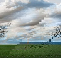 Clare Valley - Tourism Cairns