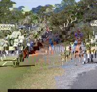Dayboro - Tourism Cairns
