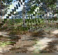 Djukbinj National Park - Tourism Cairns