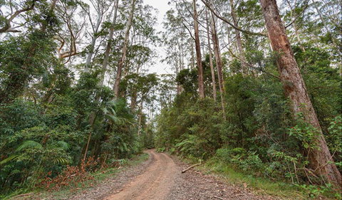 End Peak Walking Track - Tourism Cairns 0