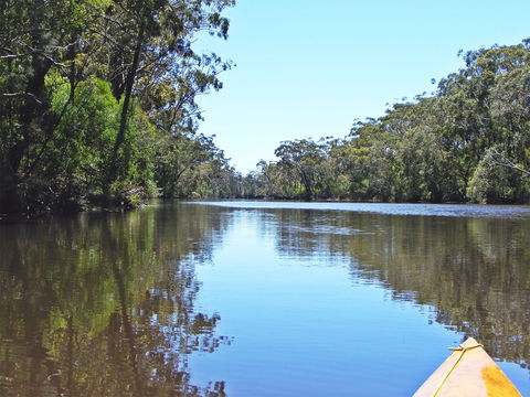 Esk River - Tourism Cairns 0