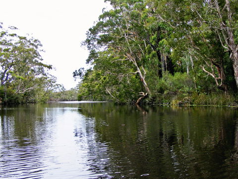 Esk River - Tourism Cairns 2