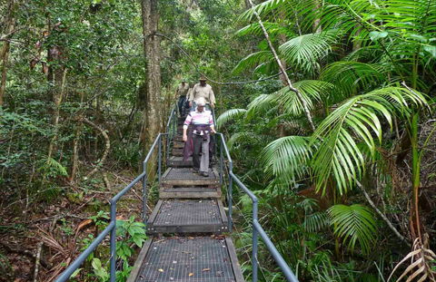 Falls Walking Track - Tourism Cairns 0