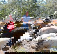 Haigslea EWE Nique Hobby Farm - Tourism Cairns