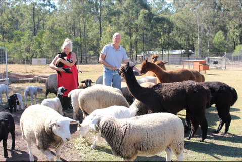 Haigslea EWE Nique Hobby Farm - Tourism Cairns 0