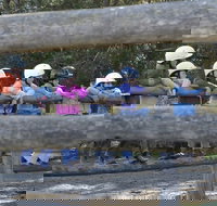 Harlow Park Horse Riding - Tourism Cairns