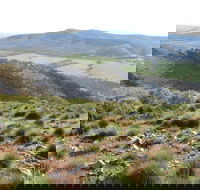 Horseshoe Rim 4WD Adventure Track - Tourism Cairns