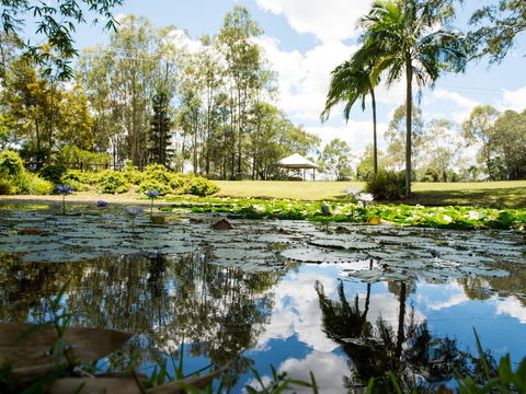 Kholo Gardens - Tourism Cairns 1