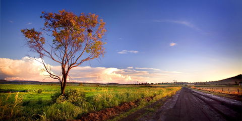 Kingsthorpe - Tourism Cairns 0
