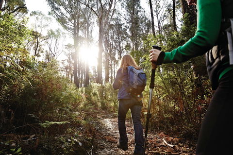 Kinglake National Park - Tourism Cairns 0