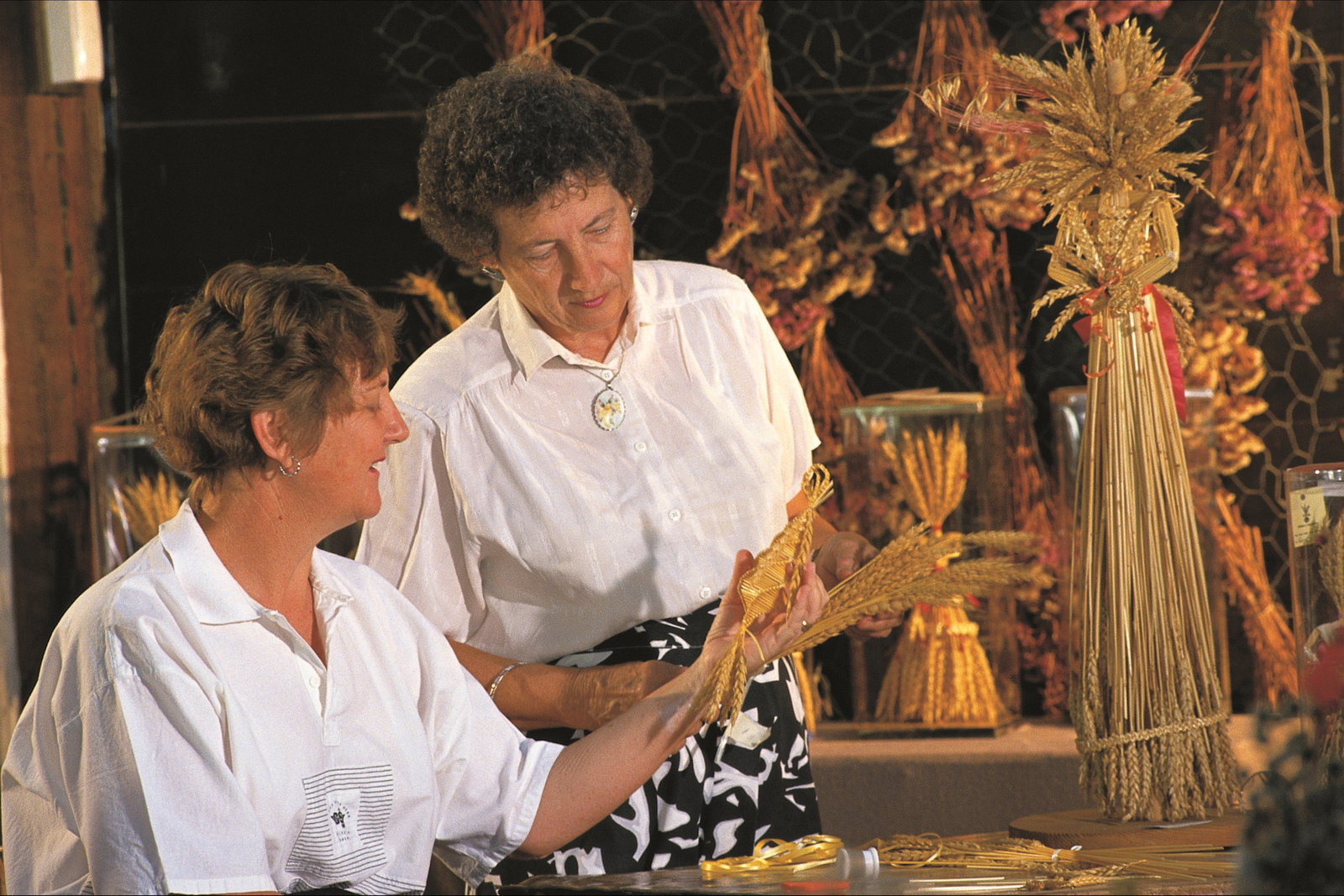 Booralaming WA Tourism Cairns