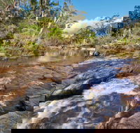 Little Dandahra Creek Walking Track - Tourism Cairns