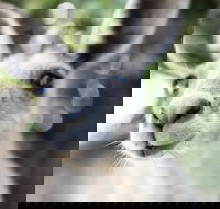 Lochern National Park - Tourism Cairns