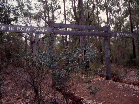 Marrinup Trail, Dwellingup - Tourism Cairns 0