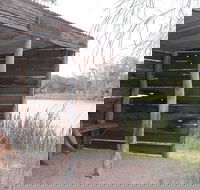 Martin Bend Wetland and Walking Trail - Tourism Cairns