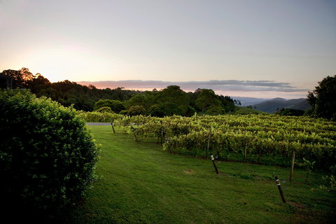 Montville - Tourism Cairns 1