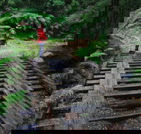 Montezuma Falls - Tourism Cairns