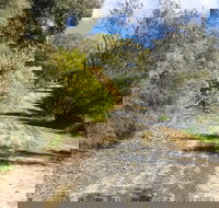 Naracoorte North Nature Park - Tourism Cairns