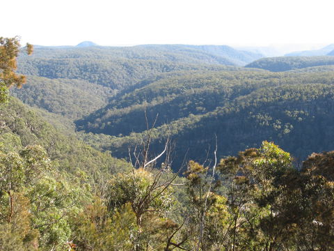 Nattai Gorge Lookout - Tourism Cairns 0