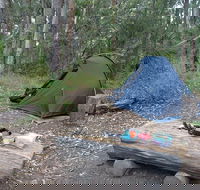 Northbrook Mountain Bush Camp - Tourism Cairns