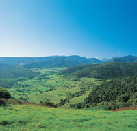 Numinbah Section Springbrook National Park - Tourism Cairns
