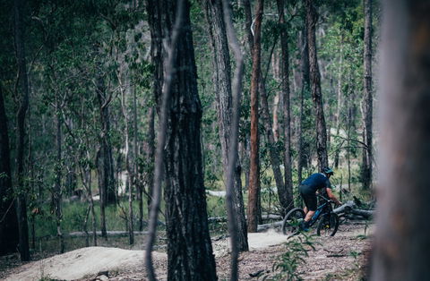 Old Tambo Downhill Mountain Bike Track - Tourism Cairns 0