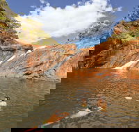 Serpentine - Tourism Cairns
