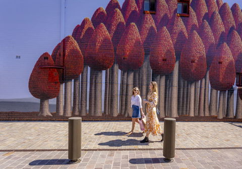 The Bourke Street Link - Tourism Cairns 0