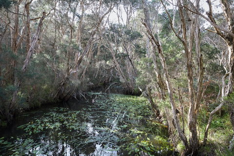 The Briars Park Walking Trails - Tourism Cairns 2