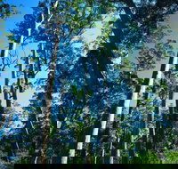 The Four Aces - Tourism Cairns