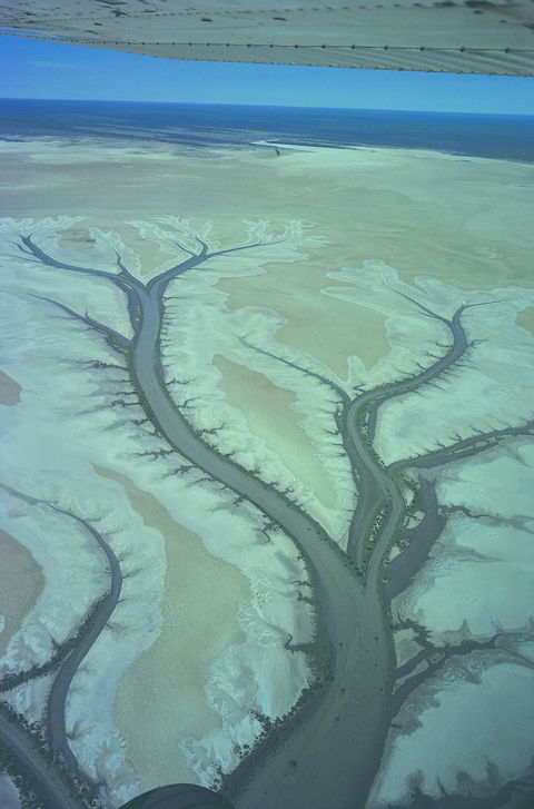 Tidal Flats - Tourism Cairns 0