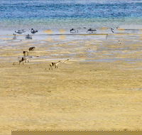 Towra Beach - Tourism Cairns