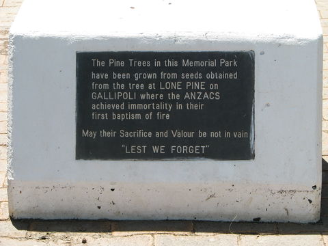 War Memorial And Heroes Avenue, Roma - Tourism Cairns 1