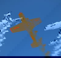 Warbird Aerial Adventures - Tourism Cairns