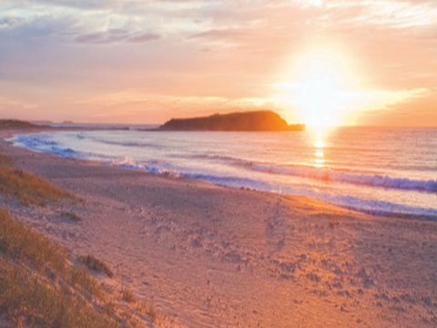 Warilla Beach: Shellharbour - Tourism Cairns 0