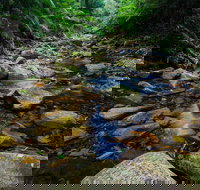 Willi Willi National Park - Tourism Cairns