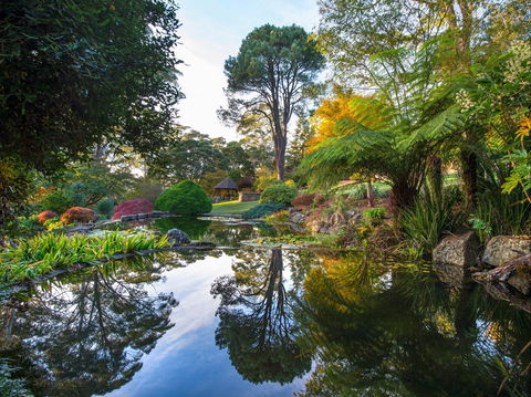 Windyridge Garden Mount Wilson - Tourism Cairns 1