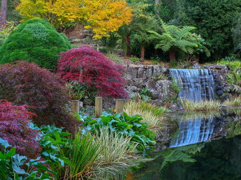 Windyridge Garden Mount Wilson - Tourism Cairns 2