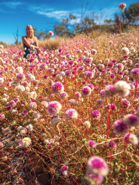 Wineries And Wildflowers - Tourism Cairns 0