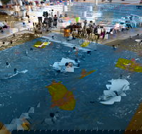 Wodonga Sports and Leisure Centre - Tourism Cairns