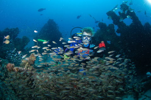 Aarhus Dive Site - Tourism Cairns 0