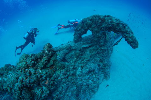 Aarhus Dive Site - Tourism Cairns 1