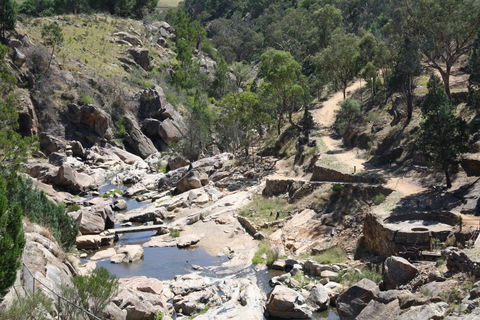 Adelong Falls Gold Mill Ruins - Tourism Cairns 1