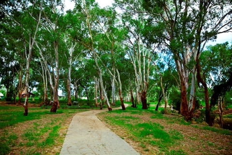 Adungadoo Pathway - Tourism Cairns 0