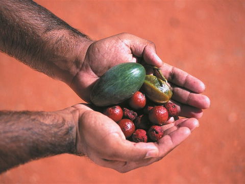 Alice Springs And Surrounds - Tourism Cairns 1