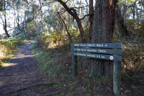 Arthurs Seat To Kings Falls Walk - Tourism Cairns 0