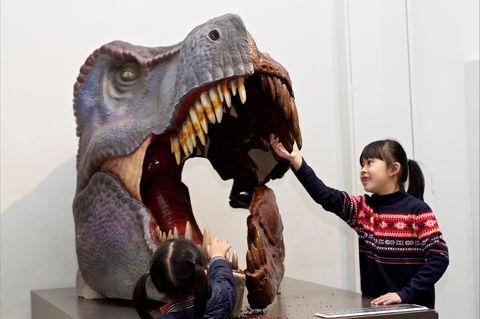 Australian Museum - Tourism Cairns 0