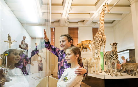 Australian Museum - Tourism Cairns 1