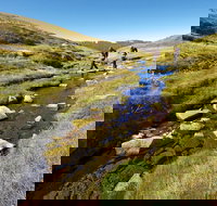 Australian Alps Walking Track - Tourism Cairns