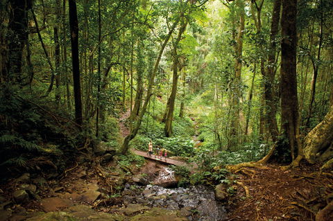 Big Sky National Parks - Tourism Cairns 1